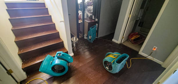 Best Local water damage restoration  in Percy, IL