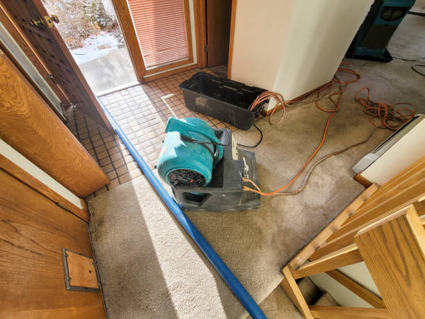 Best Flooded house restoration  in Percy, IL