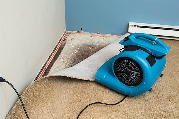 Best 24-hour water damage restoration  in Percy, IL